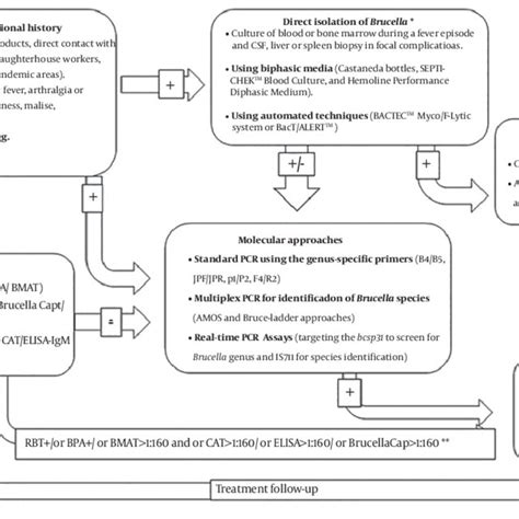 Pdf Laboratory Diagnostic Procedures For Human Brucellosis An Overview Of Existing Approaches