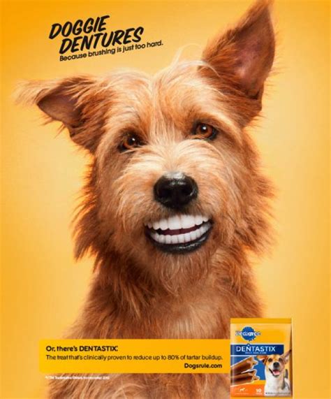 Best Print Ads Featuring Dogs