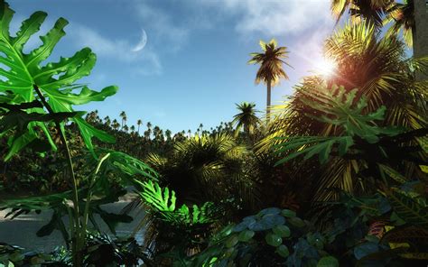 Animated Jungle Wallpaper Hd 08220 Baltana