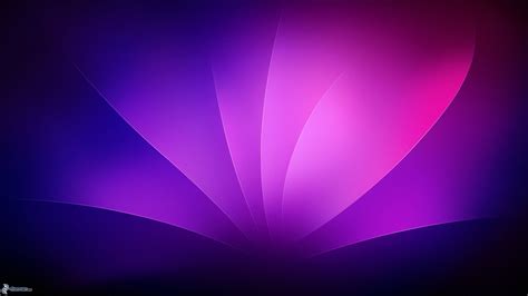 Purple Background 59 Images