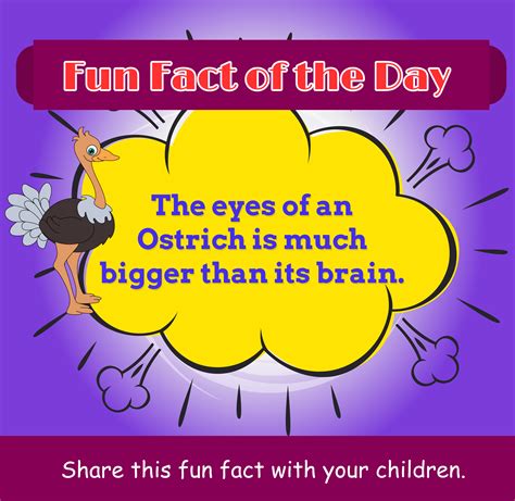 Fun Fact Of The Day Fun Facts