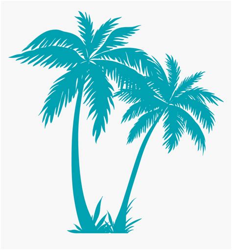 Transparent Palm Tree Plan Png Palm Tree Vector Png Png Download