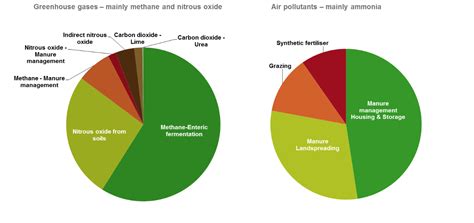 2020 Agricultural Emissions Greenhouse Gases And Ammonia Teagasc