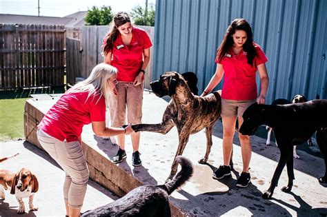 Best Dog Boarding In Ankeny Ia And West Des Moines Ia