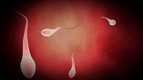 Microscopic Visualization Of Male Sperm Cells Motion Background 0015