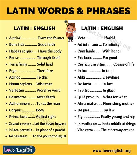 Latin Words 50 Cool Latin Words And Phrases You Should Know Love English