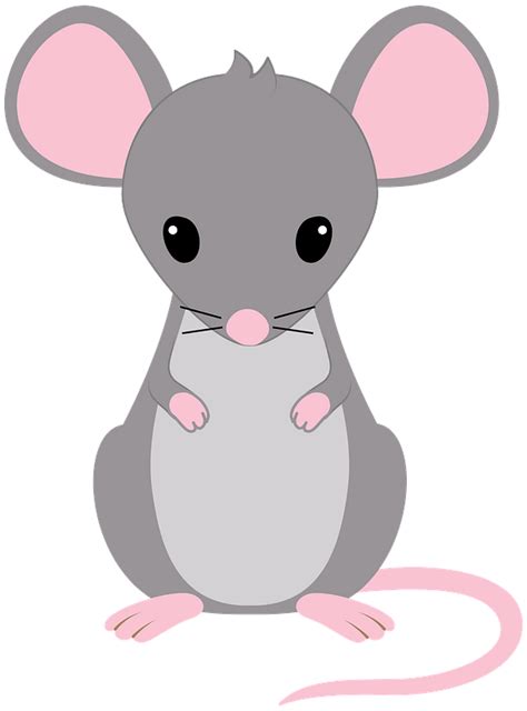 Mouse Png Cutout Png And Clipart Images Citypng Images And Photos Finder