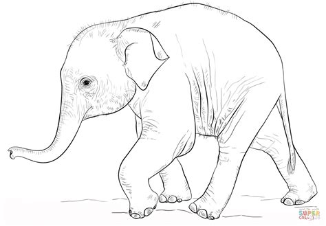 Coloriage Bébé éléphant Mignon Coloriages à Imprimer Gratuits