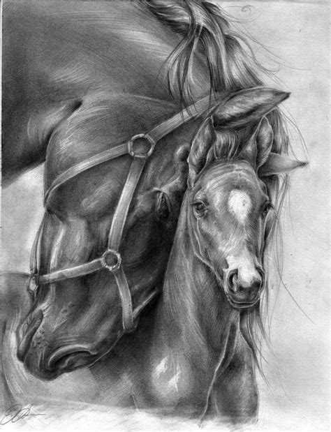 Love Horses Horse Pencil Drawing Pencil Drawings Of Animals Horse
