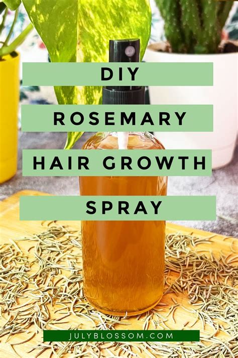 How to Make Rosemary Water for Hair Growth | Rosemary water, Hair