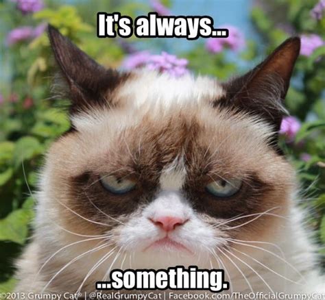 Always Something Sigh Grumpy Cat Grumpy Cat Meme Grumpy Cat Quotes