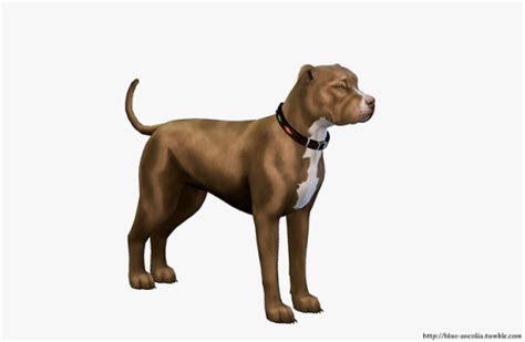 Blue Ancolia Brown Pitbull Makeover First Version Here Is Sims