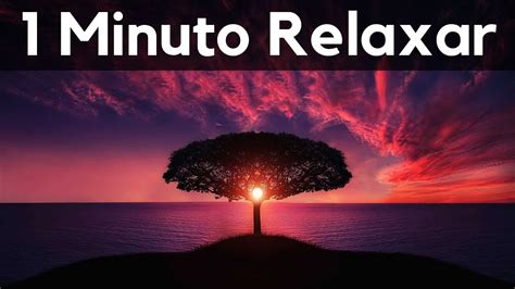 1 Minuto Música Para Relaxar Relaxamento Acalmar Ansiedade