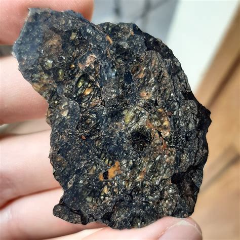 Jepara Pallasite Meteorite 6 Small Slices Meteolovers