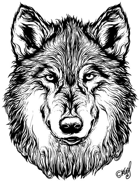 Wolf Tattoo Drawing Tattoo Designs Wolf Sketches Husky Often Come