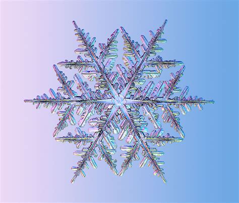 Found on Bing from www.pinterest.com | Snowflakes, Snow flake tattoo, Snowflakes real