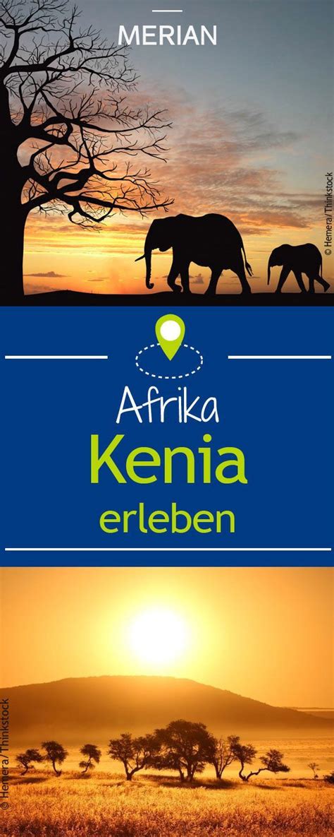 Geführte touren zu den besten sehenswürdigkeiten und andere freizeitaktivitäten in nakurusee. Beeindruckende Natur- und Tierwelten | Kenia urlaub ...