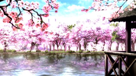 11 Japan Cherry Blossom Anime Anime Sarahsoriano