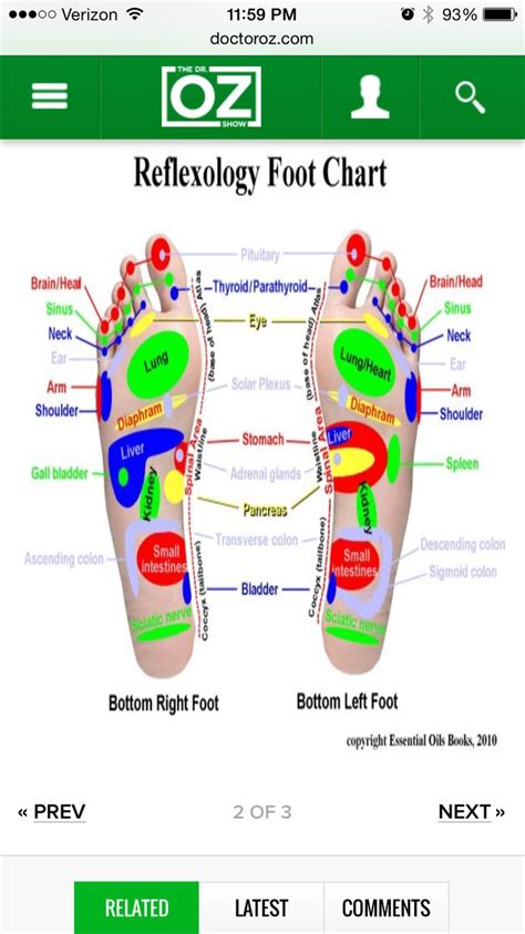 Pin By Monica Caldwell On Health And Fitness Foot Chart