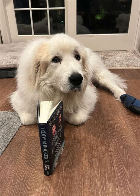 'Fox & Friends' fans rally to support Brian Kilmeade as he reveals