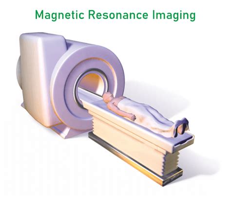 Mri Full Form In Medical Magnetic Resonance Imaging Javatpoint