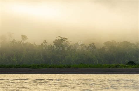 Amazon River Sunrise In The Fog Stock Image Image Of Morning Horizon