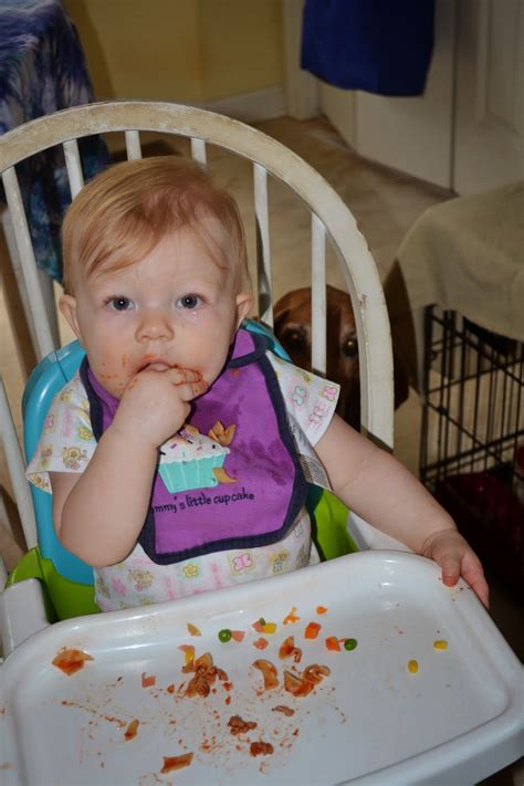 We did not find results for: Finger Foods for an 11 Month Old - Meal Ideas