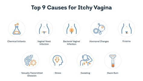 Itchy Vagina The Top Causes And Treatment Pristyn Care