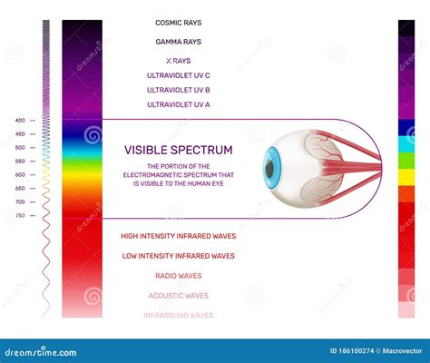 Light Spectrum Vector Illustration 5267994