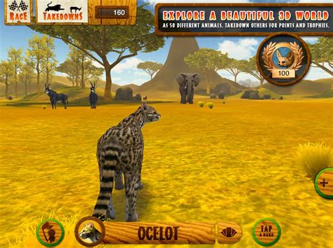 Wild Animal Games - Wild Animals Games
