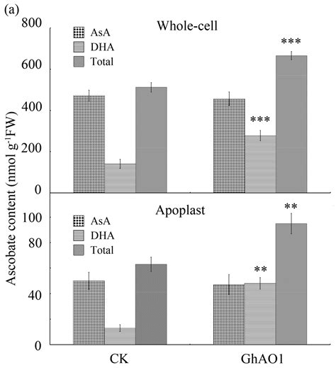 Ijms Free Full Text Cotton Ascorbate Oxidase Promotes Cell Growth