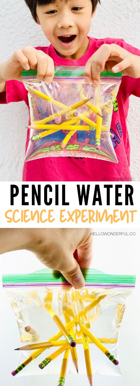 Pencil Water Bag Science Experiment For Kids Science Experiments Kids