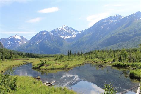 Baked Alaska Eagle River Nature Center