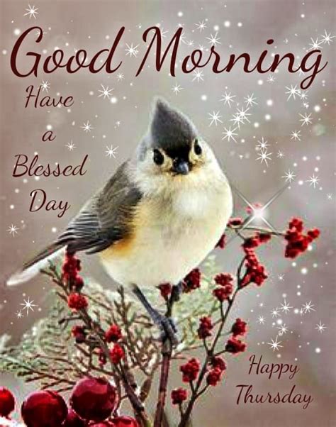 Have A Blessed Thursday Good Morning Pictures Photos And Images For