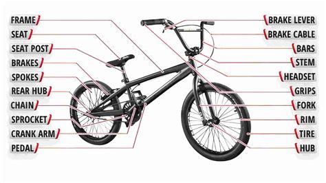 Bmx Bikes Everything You Need To Know
