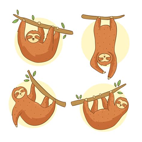 Hand Drawn Sloth Vector 210861 Vector Art At Vecteezy