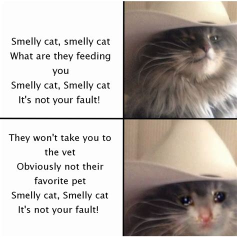 Smelly Cat Smelly Cat What Are They Feeding You Smelly Cat Smelly Cat