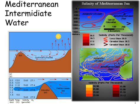 Ppt Ocean Circulation Deep Thermohaline Currents Powerpoint
