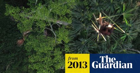 Wwf Plans To Use Drones To Protect Wildlife Wwf The Guardian