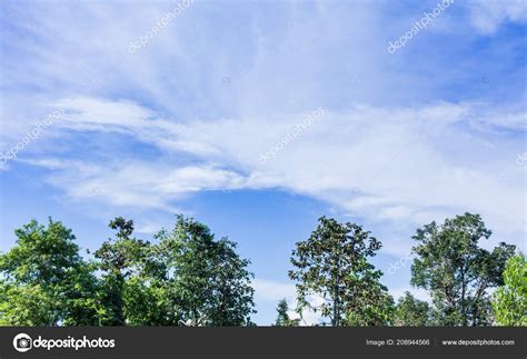Sky And Trees Color Photography