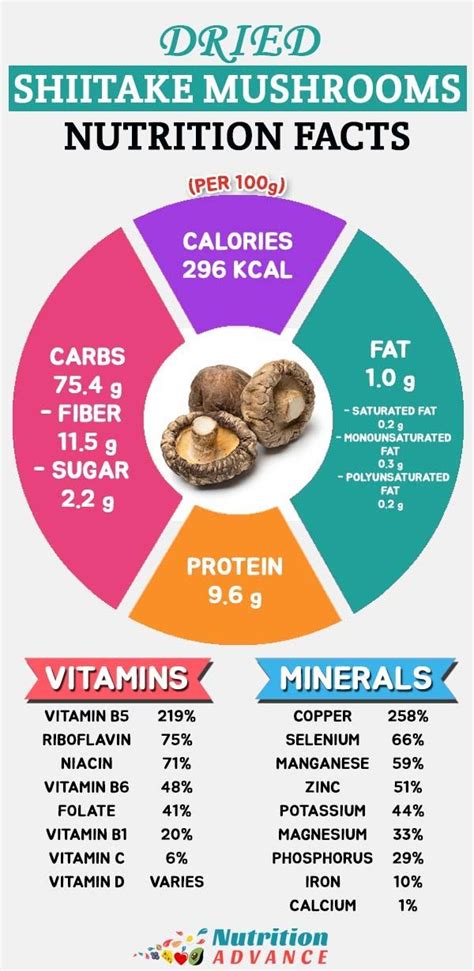 Oyster Mushroom Nutrition Facts - All Mushroom Info