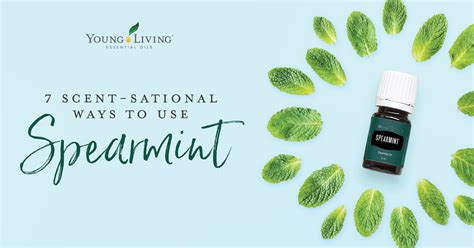 Making an exclusive essential rewards monthly order? Seven Sensational Ways to Use Spearmint - Young Living ...