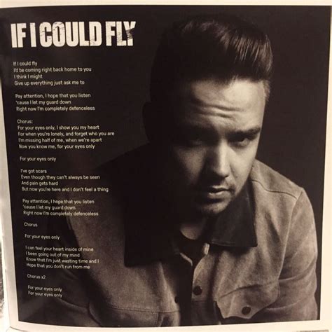 Liamif I Could Fly Lyrics Photos From The Made In The Am Deluxe