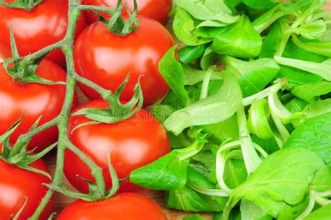 Tomatoes And Lettuce Stock Photo Image Of Healthy Nutrition 20510414
