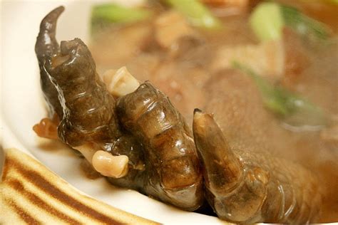 Tafsir mimpi 4d abjad lengkap. Kaki Buaya, Kuliner Ekstrim dari Singapura