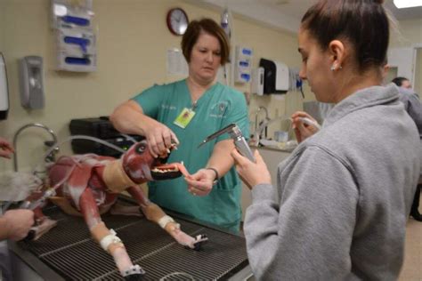 Middlemunity Colleges Veterinary Tech Students Among 1st In Us