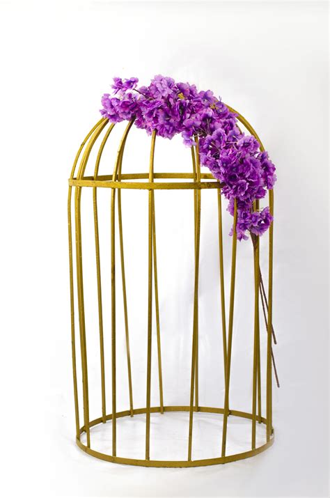 Iron Bird Cage Onb