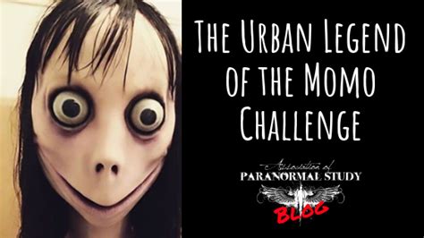 The Urban Legend Of The Momo Challenge Association Of Paranormal Study