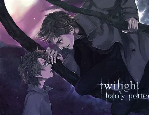 Twilight X Harrypotter By Flayu On Deviantart