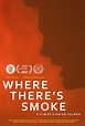 Where There's Smoke (C) (2017) - FilmAffinity